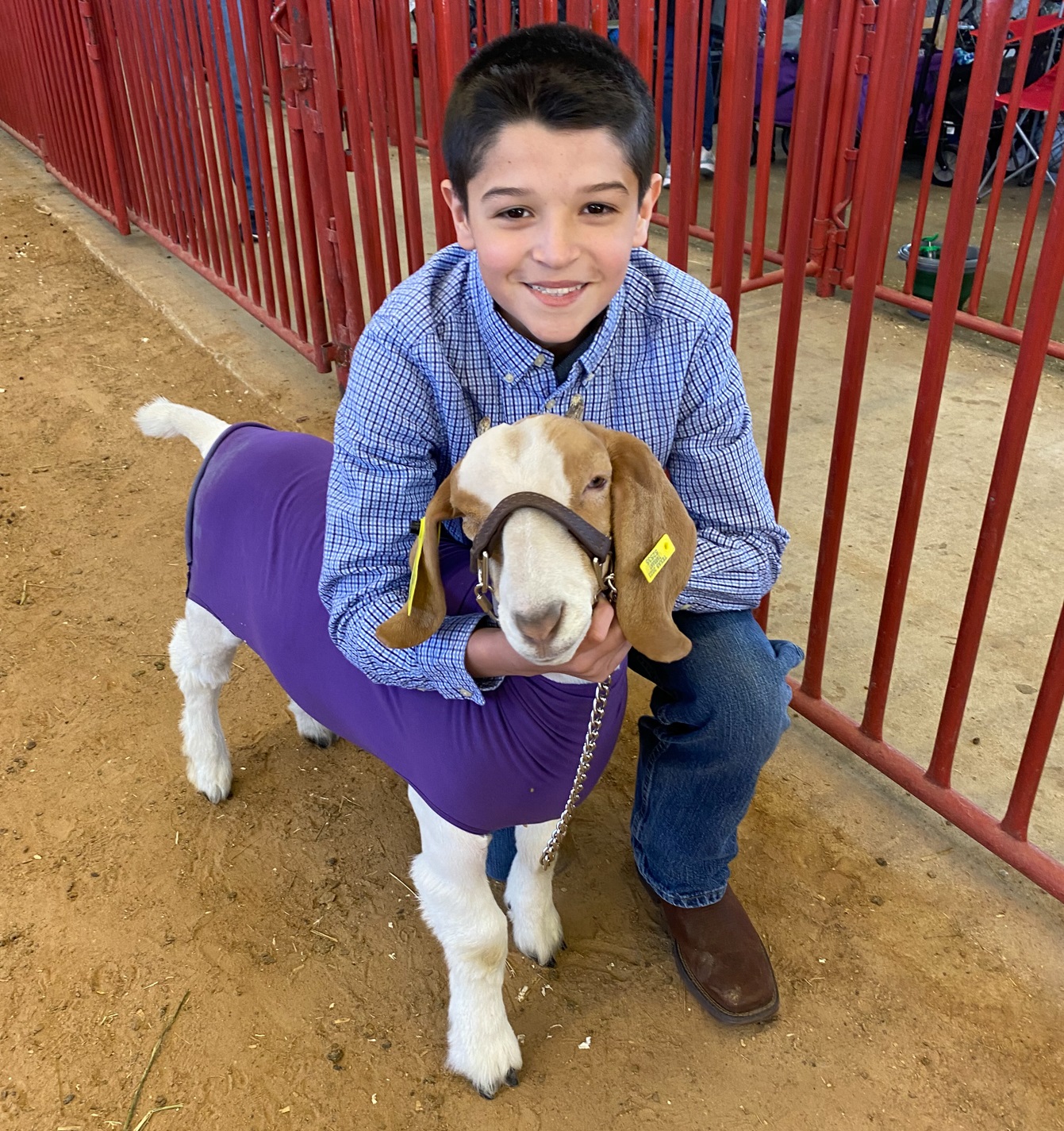 Mansfield ISD students go to the show